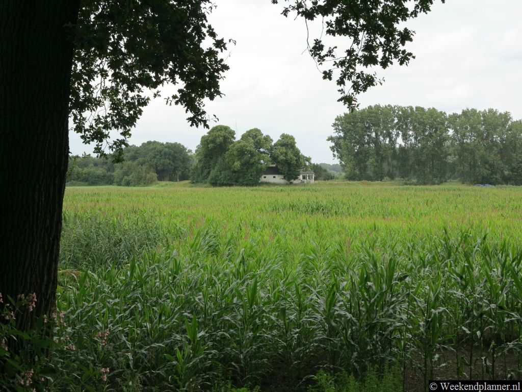 Kasteel Maurick staat in een prachtige groene omgeving waar je kunt wandelen, fietsen en kanovaren.Tip: Fietsen in de buurt.
